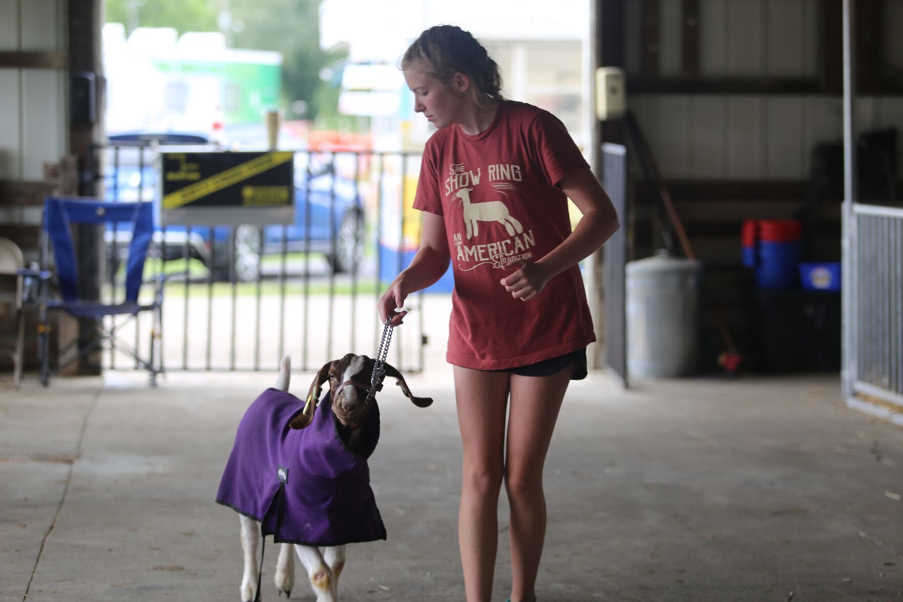 Clark County 4H-Helios the goat